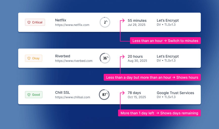 Chill SSL dashboard showing precision timing with hours and minutes for certificate expiry