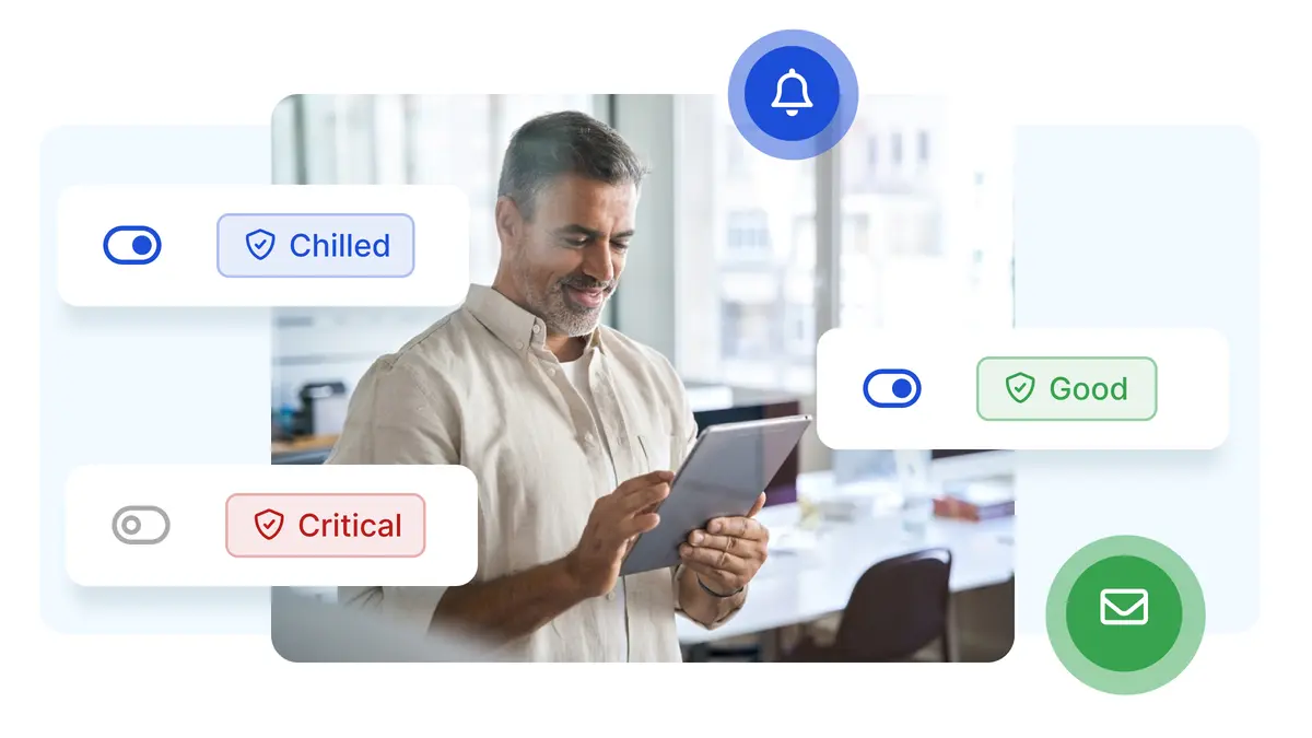Professional monitoring SSL certificate status changes and lifecycle transitions